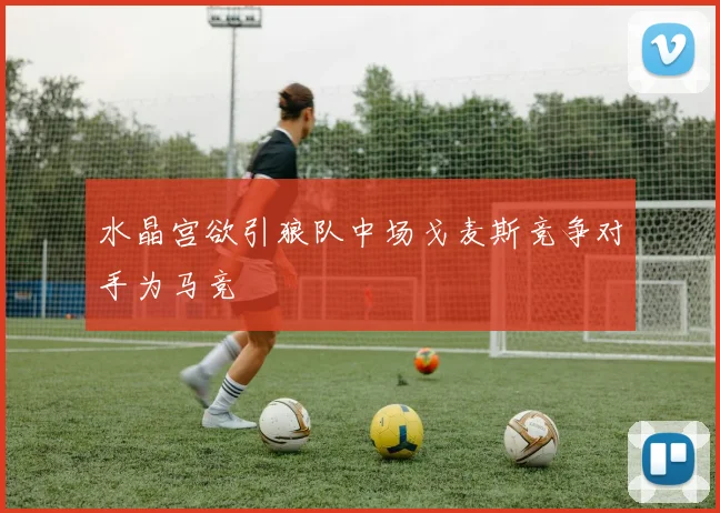 水晶宫欲引狼队中场戈麦斯竞争对手为马竞