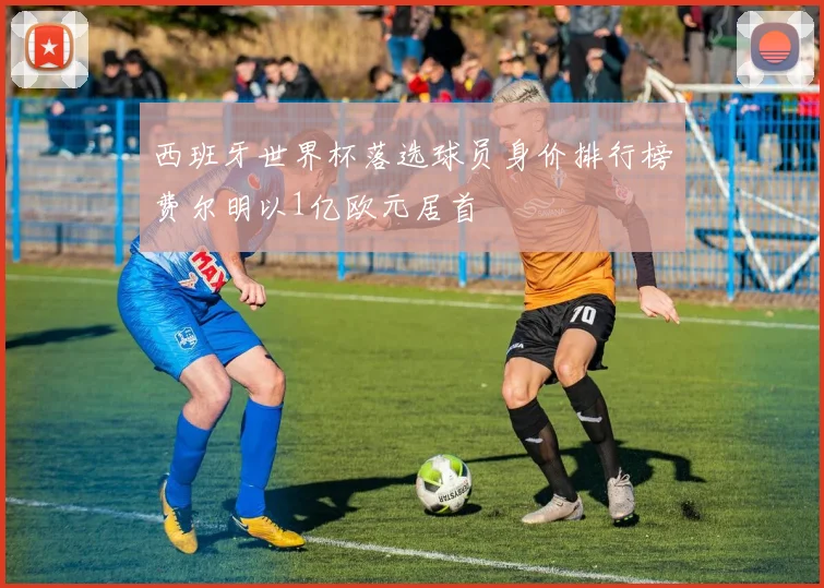 西班牙世界杯落选球员身价排行榜费尔明以1亿欧元居首