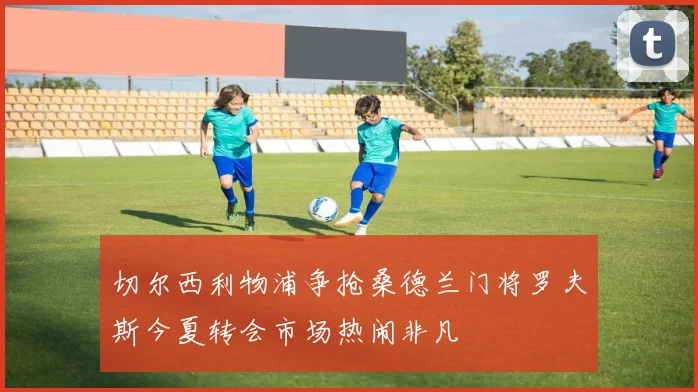 切尔西利物浦争抢桑德兰门将罗夫斯今夏转会市场热闹非凡